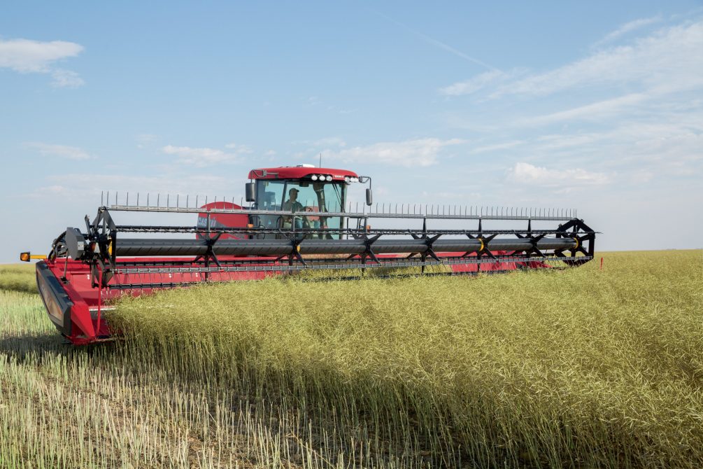 Case IH DH363